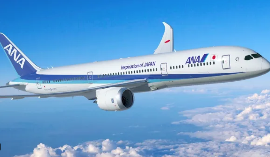 Pasajero estadounidense muerde a trabajador en pleno vuelo y forzan aterrizaje 