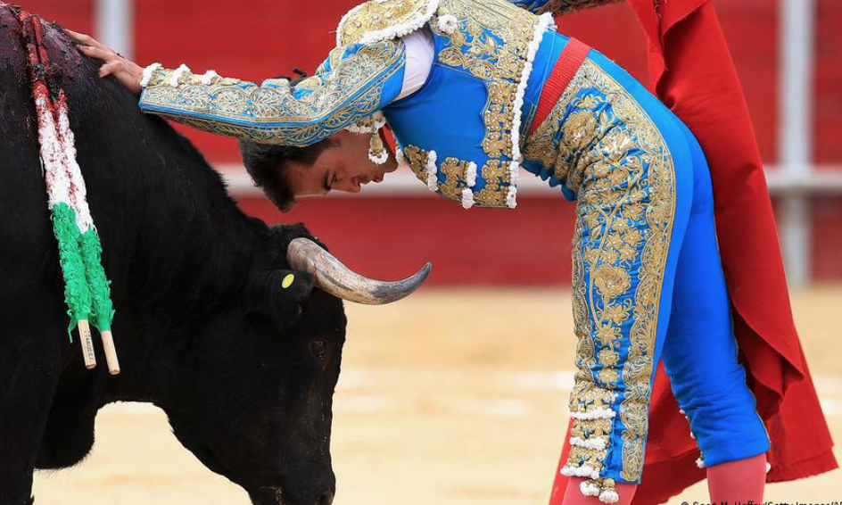 Revocan prohibición: corridas de toros regresan a Ciudad de México