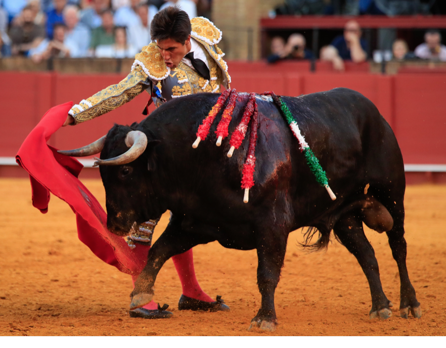 Decisión sobre suspensión de corridas de toros en Plaza México se aplaza hasta el 13 de febrero