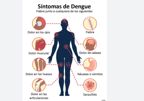 Peor temporada de dengue en la historia de América