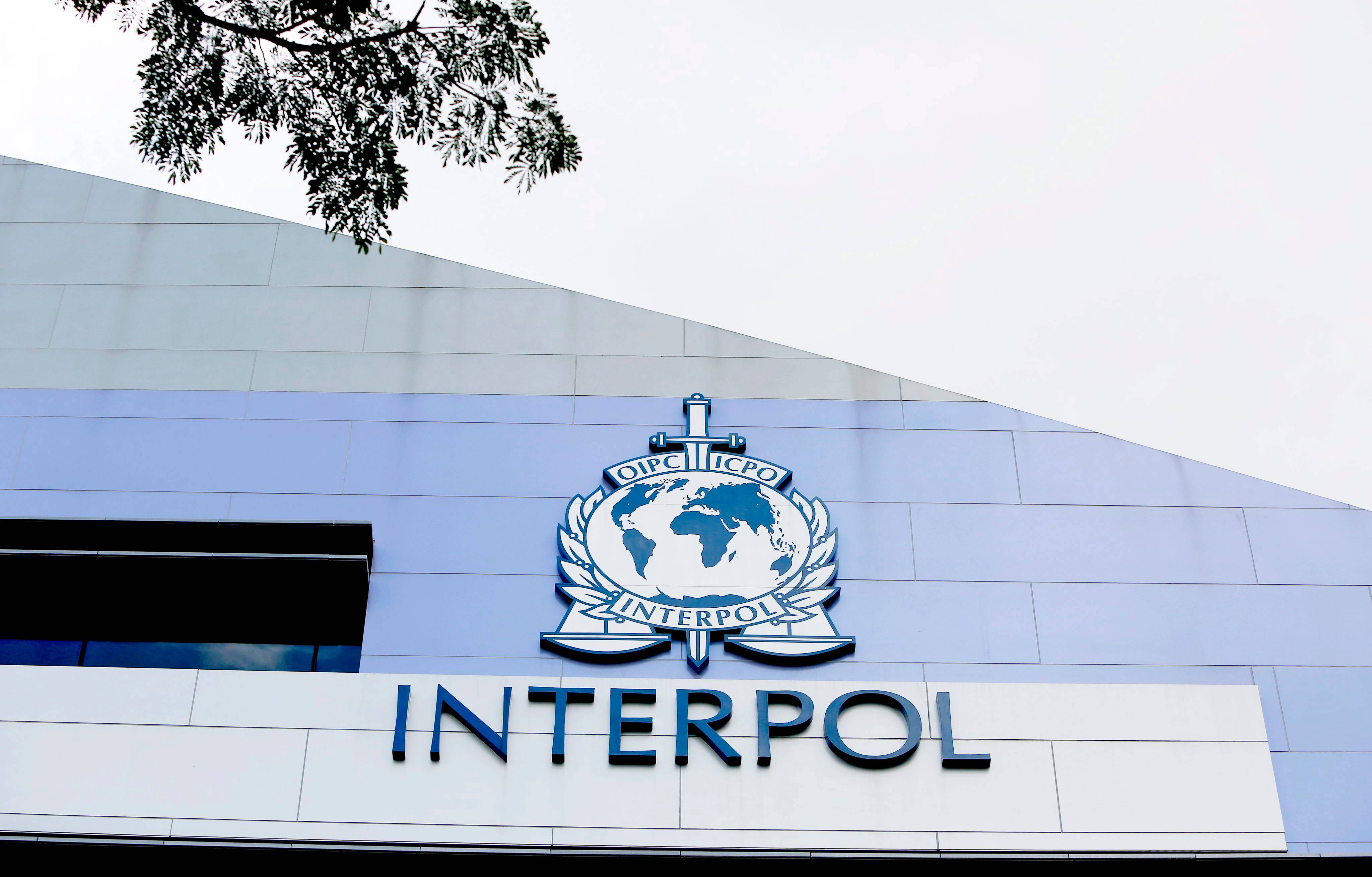 Interpol incauta más de 8 mil armas en América Latina