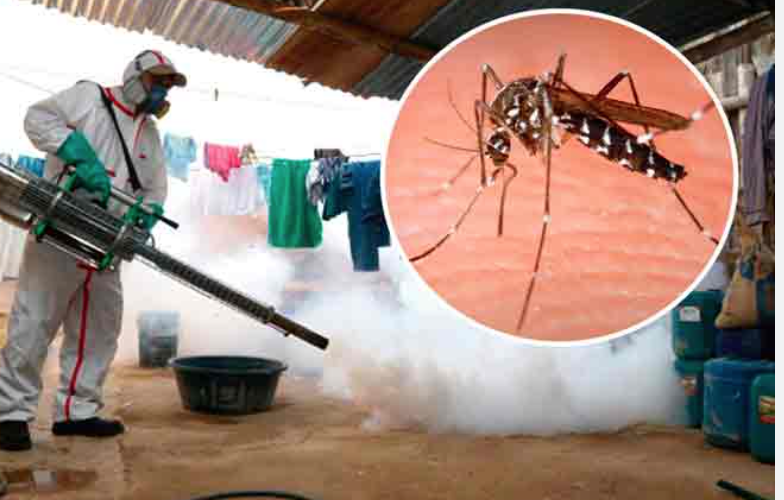 Brote de Dengue en Perú agrava crisis política y social 