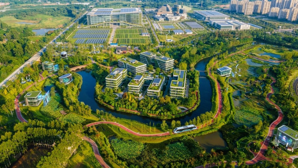 Ciudades esponja: La revolucionaria ingeniería urbana para frenar las inundaciones