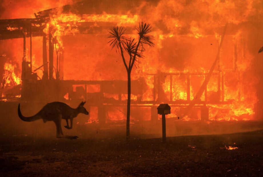 Fuertes incendios en Australia arrasan miles de hectáreas 