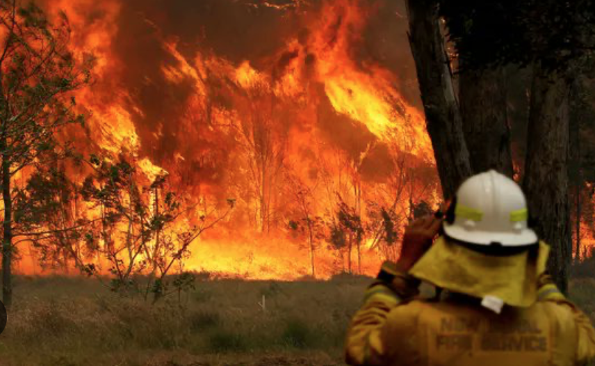 Incendios azotan la costa este de Australia 