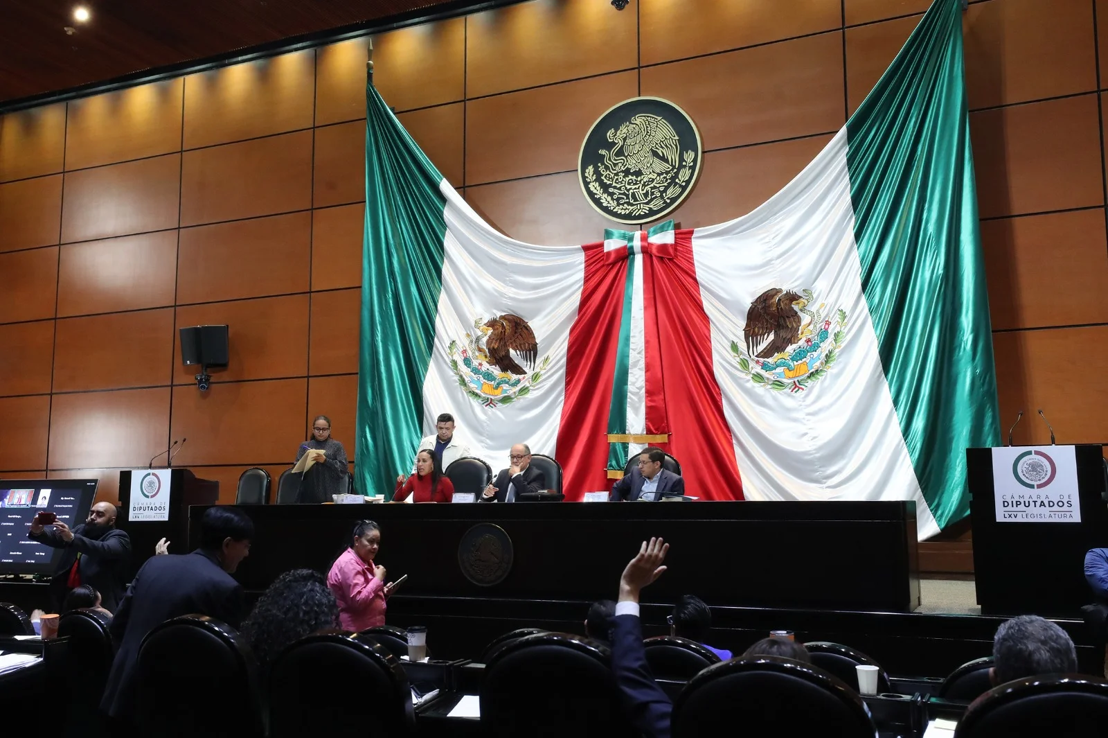 Diferimiento de la reforma constitucional sobre órganos autónomos en la Cámara de Diputados