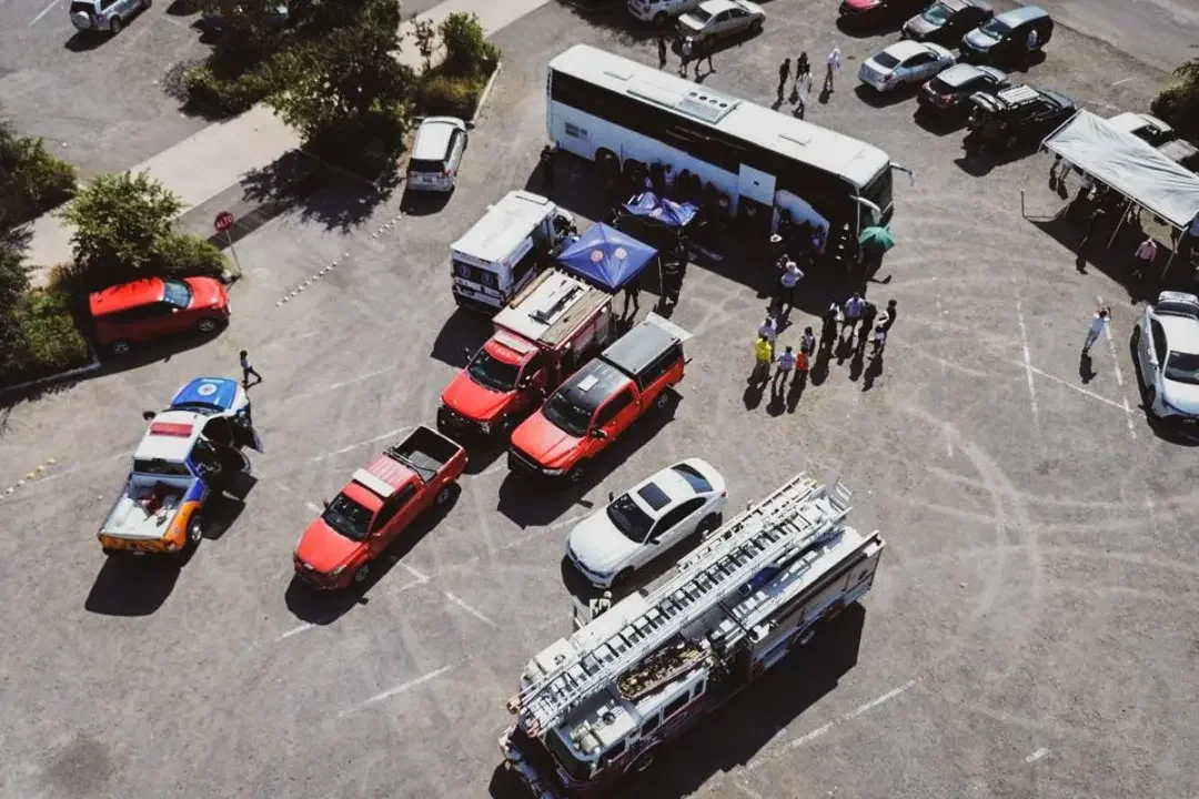 Enjambre de abejas ataca a 50 personas en Querétaro