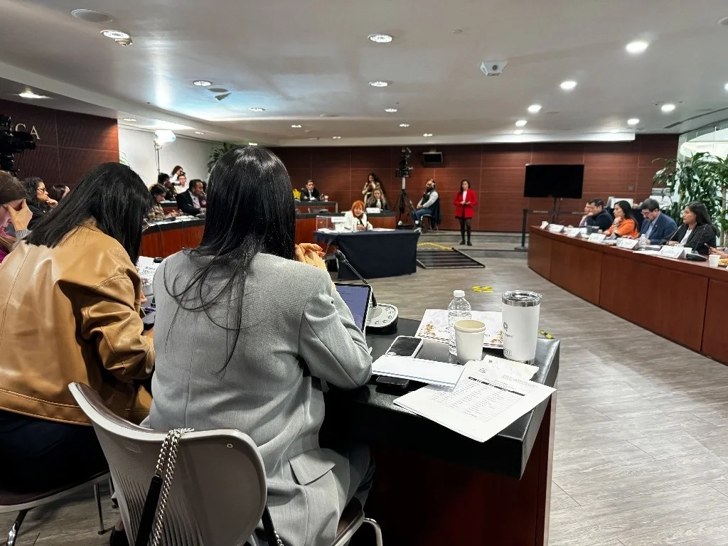 Votación de terna para la CNDH aplazada por el Senado